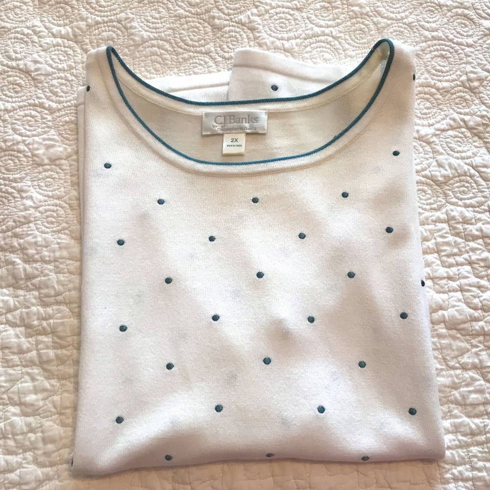C&B white sweater round neck tank with embroidered green polka dots & trim (2X)